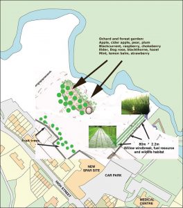 Orchard, willow coppice and much more is planned at Cae Bodfach